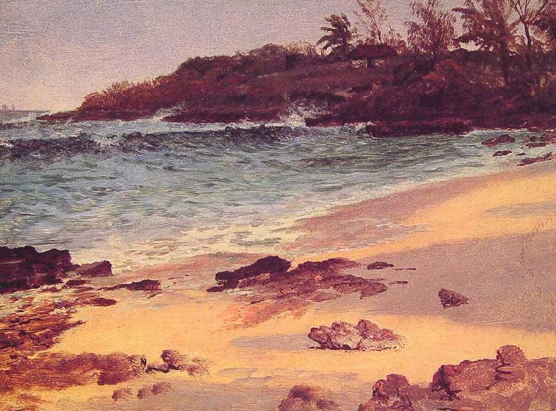 Albert Bierstadt Bahama Cove Sweden oil painting art